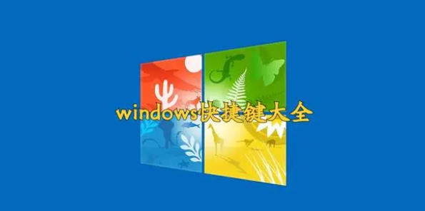 电脑系统快捷键大全（windows版本）